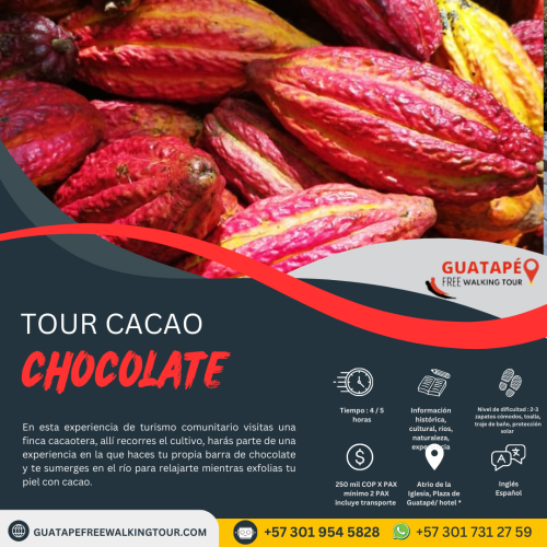 tour_CacaoChocolate